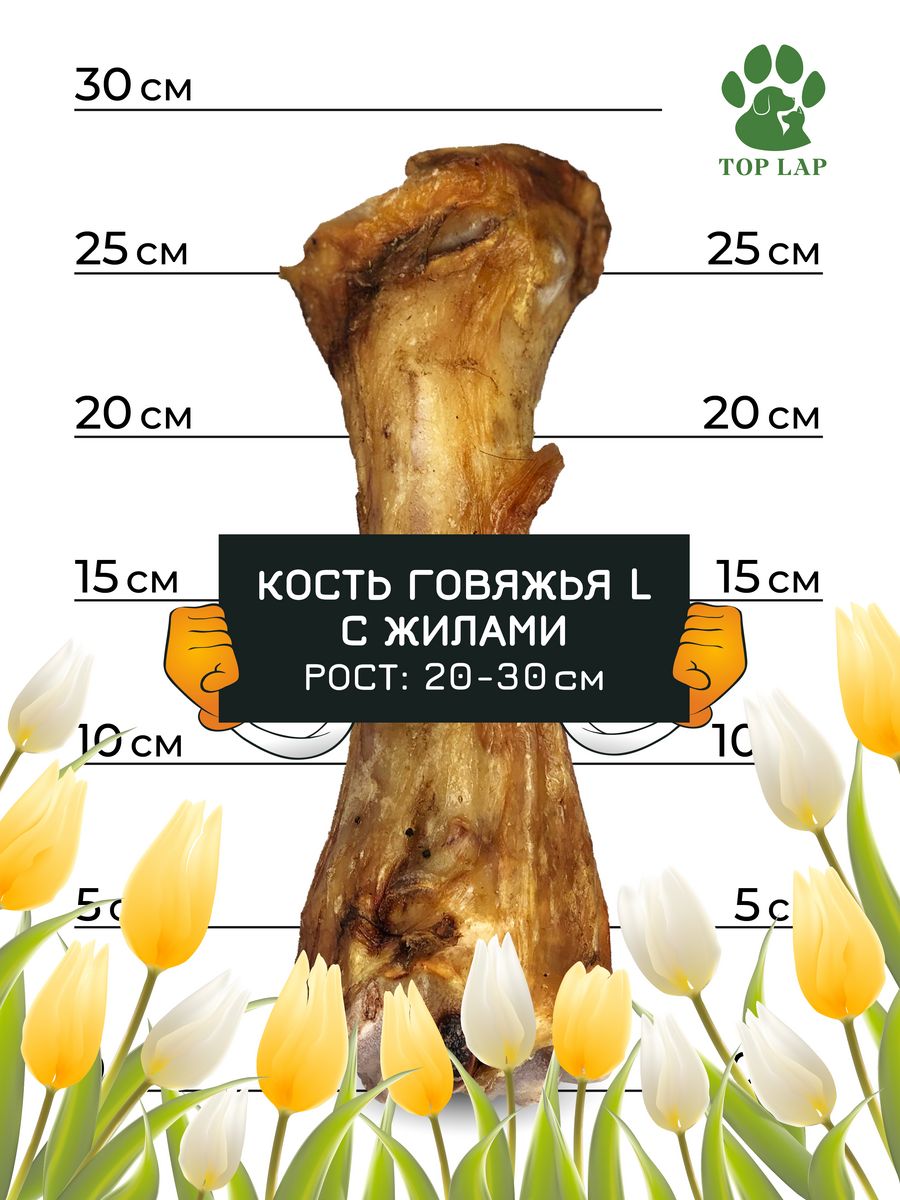 Можно собаке говяжьи кости