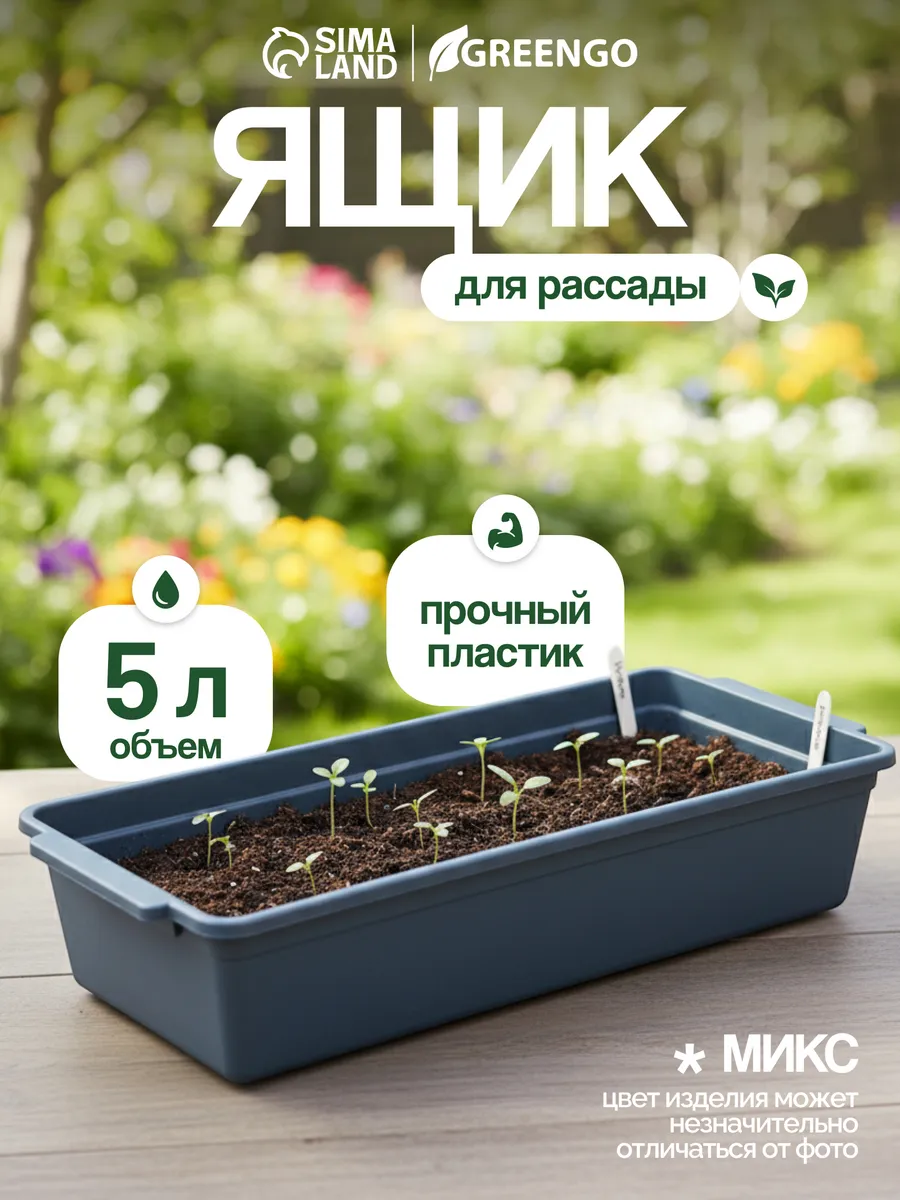 Ящик для рассады