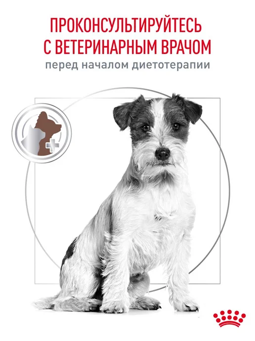 Сухой корм Royal canin Vet Diet для собак, взрослые, 3 кг, фото 8