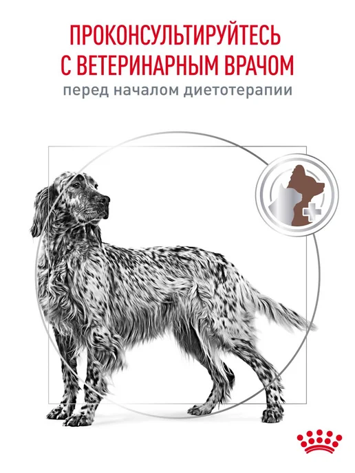 Сухой корм Royal canin Hepatic Болезни для собак, взрослые, пожилые, 12 кг, фото 8