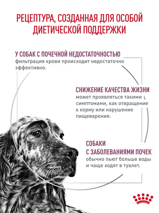 Сухой корм Royal canin Renal Заболевание для собак, взрослые, пожилые, 2 кг, фото 2