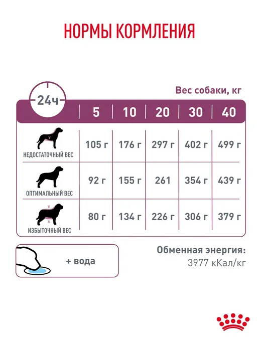 Сухой корм Royal canin Renal Заболевание для собак, взрослые, пожилые, 2 кг, фото 6