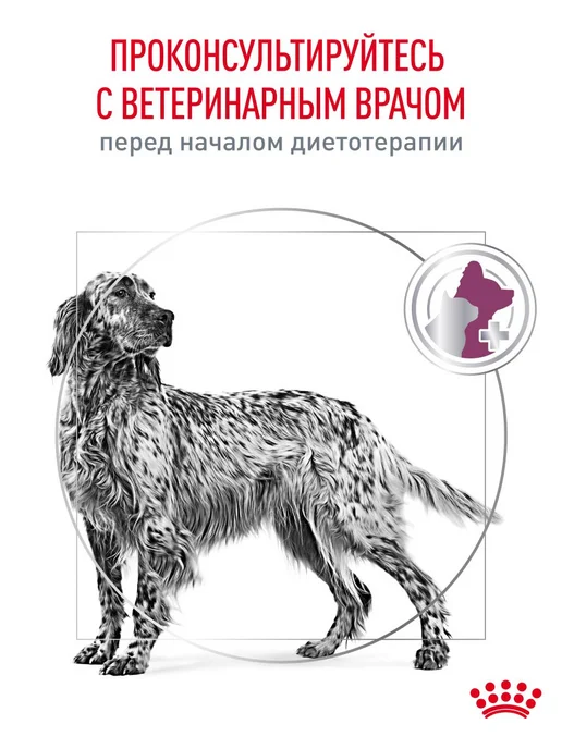 Сухой корм Royal canin Renal Заболевание для собак, взрослые, пожилые, 2 кг, фото 7