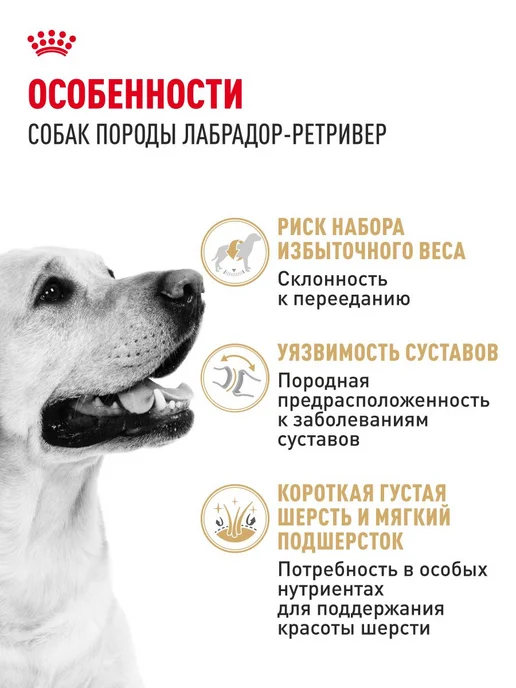 Сухой корм Royal canin Labrador Retriever для собак, взрослые, 12 кг, фото 2