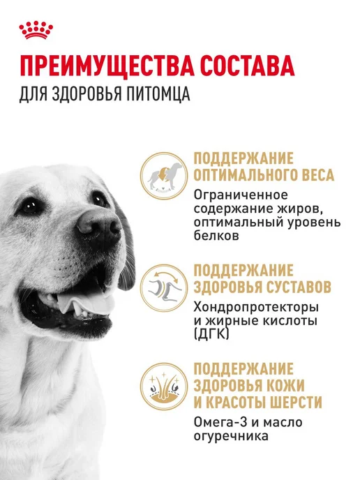Сухой корм Royal canin Labrador Retriever для собак, взрослые, 12 кг, фото 3