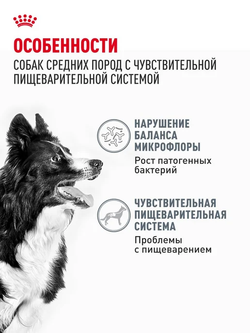 Сухой корм Royal canin Digestive Жкт для собак, средние, чувствительное пищеварение, 3 кг, фото 2