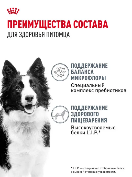 Сухой корм Royal canin Digestive Жкт для собак, средние, чувствительное пищеварение, 3 кг, фото 3