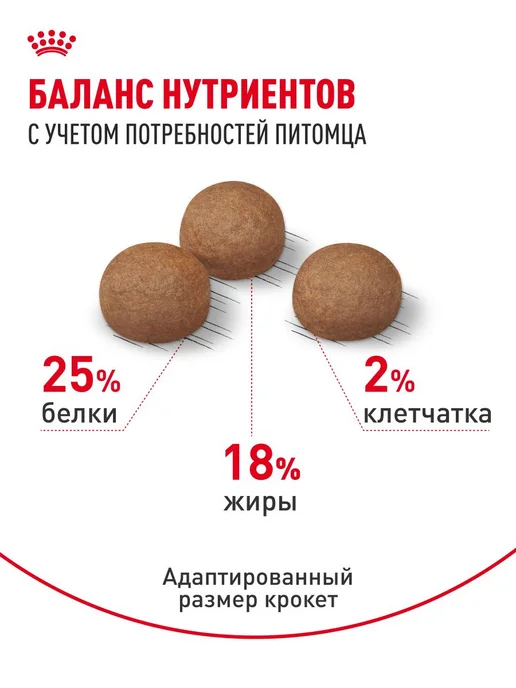 Сухой корм Royal canin Digestive Жкт для собак, средние, чувствительное пищеварение, 3 кг, фото 4