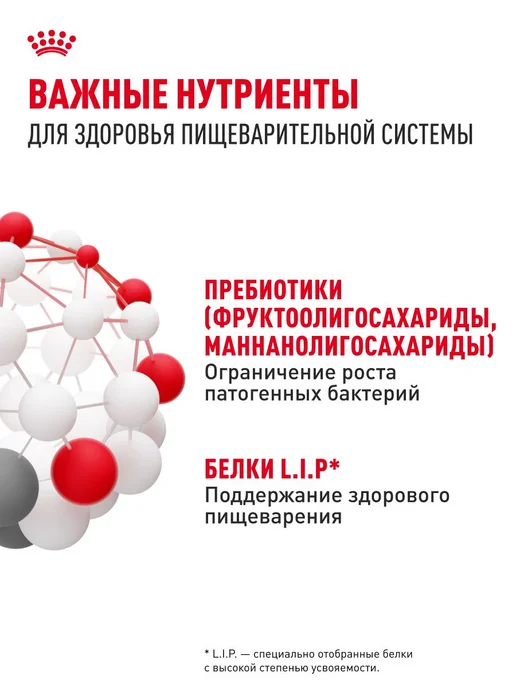 Сухой корм Royal canin Digestive Жкт для собак, средние, чувствительное пищеварение, 3 кг, фото 5