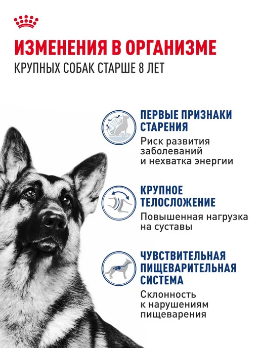 Сухой корм Royal canin Ageing для собак, крупные, пожилые, 15 кг, фото 2