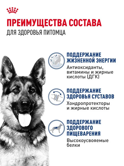 Сухой корм Royal canin Ageing для собак, крупные, пожилые, 15 кг, фото 3
