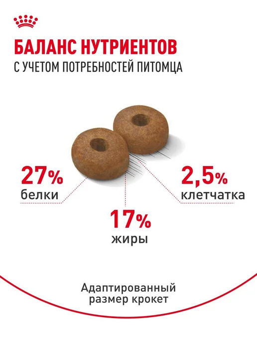 Сухой корм Royal canin Ageing для собак, крупные, пожилые, 15 кг, фото 4