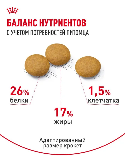 Сухой корм Royal canin Dermacomfort Проблемная для собак, средние, 10 кг, фото 4