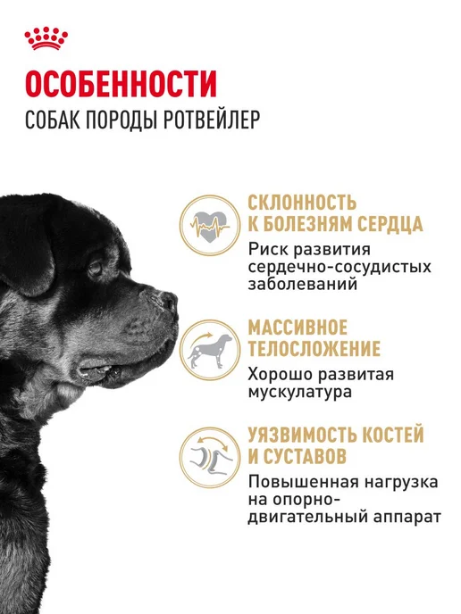 Сухой корм Royal canin Rottweiller Ротвейлер для собак, взрослые, 12 кг, фото 2