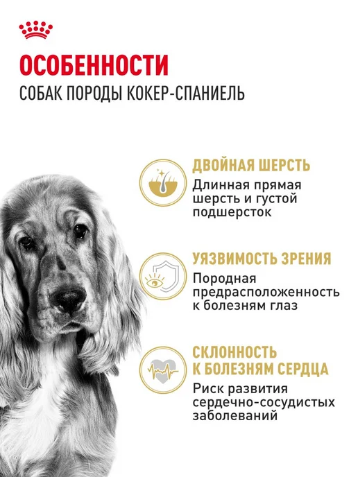 Сухой корм Royal canin Cocker Кокер для собак, взрослые, 3 кг, фото 2