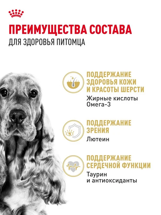 Сухой корм Royal canin Cocker Кокер для собак, взрослые, 3 кг, фото 3