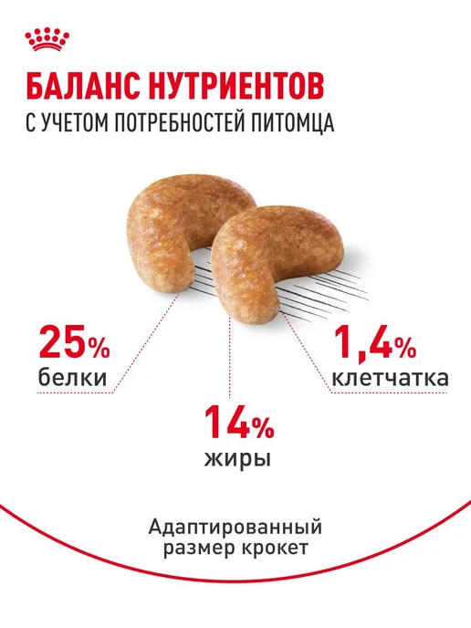 Сухой корм Royal canin Cocker Кокер для собак, взрослые, 3 кг, фото 4