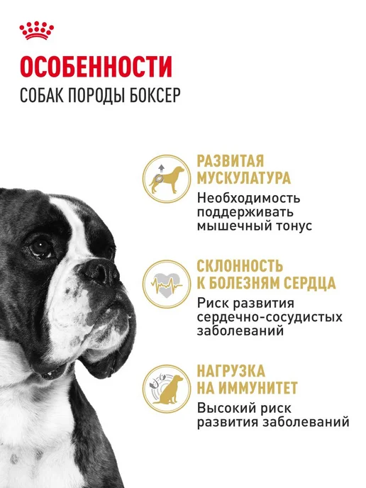 Сухой корм Royal canin Boxer Боксер для собак, взрослые, 12 кг, фото 2