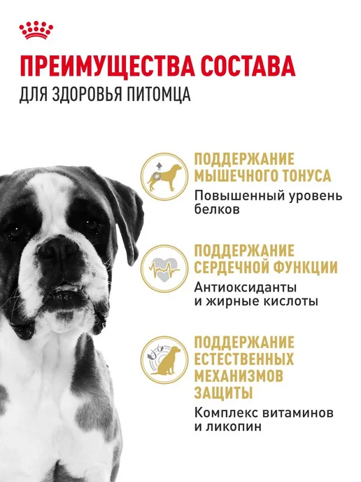 Сухой корм Royal canin Boxer Боксер для собак, взрослые, 12 кг, фото 3