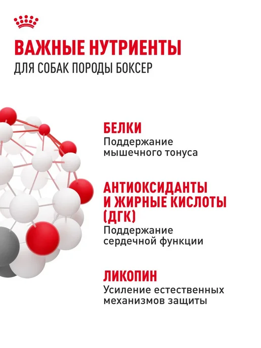 Сухой корм Royal canin Boxer Боксер для собак, взрослые, 12 кг, фото 5