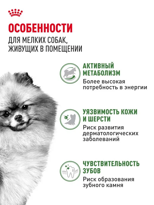 Сухой корм Royal canin Indoor Малых для собак, мелкие, 3 кг, фото 2