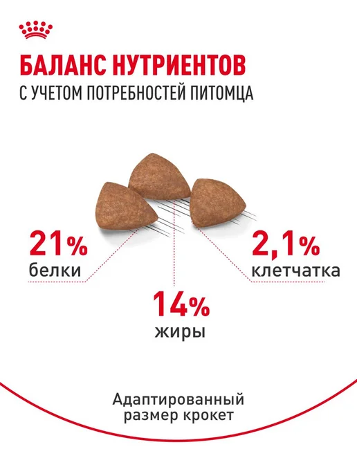 Сухой корм Royal canin Indoor Малых для собак, мелкие, 3 кг, фото 4