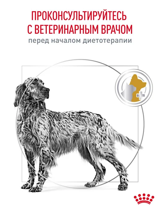 Сухой корм Royal canin Urinary При для собак, взрослые, пожилые, 13 кг, фото 8