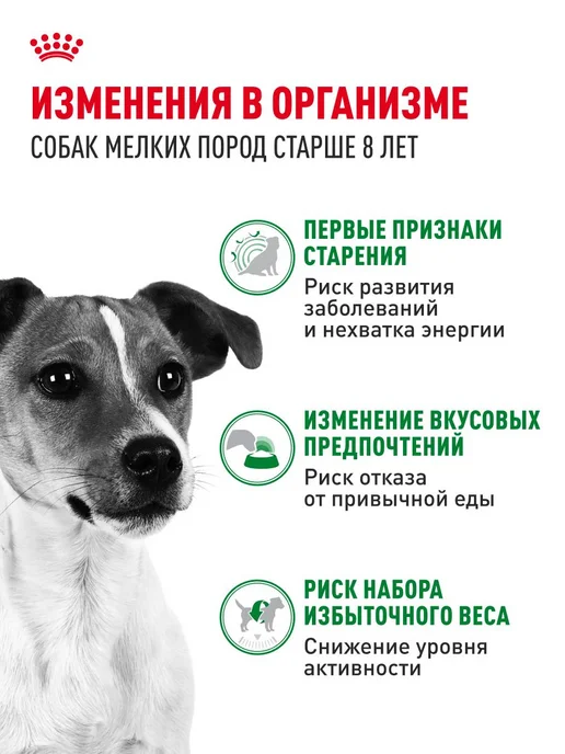 Сухой корм Royal canin Малых для собак, взрослые, мелкие, пожилые, 2 кг, фото 2
