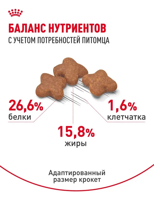 Сухой корм Royal canin Малых для собак, взрослые, мелкие, пожилые, 2 кг, фото 4