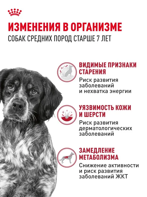 Сухой корм Royal canin для собак, взрослые, пожилые, средние, 15 кг, фото 2