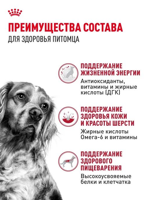 Сухой корм Royal canin для собак, взрослые, пожилые, средние, 15 кг, фото 3