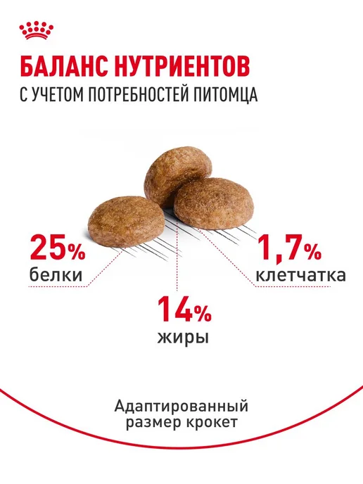 Сухой корм Royal canin для собак, взрослые, пожилые, средние, 15 кг, фото 4