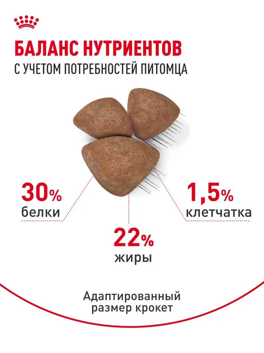 Сухой корм Royal canin Starter Малых для собак, мелкие, щенки, 1 кг, фото 4