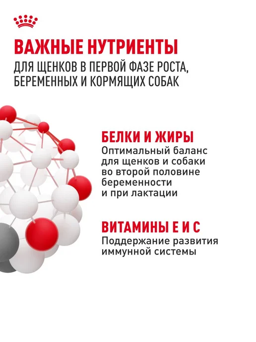 Сухой корм Royal canin Starter Малых для собак, мелкие, щенки, 1 кг, фото 5
