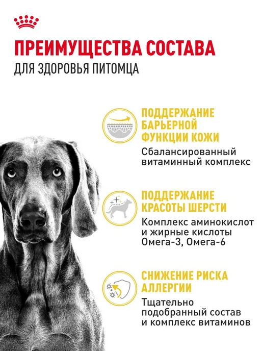 Сухой корм Royal canin Dermacomfort Проблемная для собак, крупные, 10 кг, фото 3