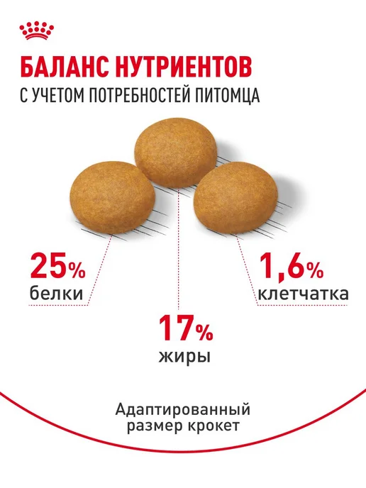 Сухой корм Royal canin Dermacomfort Проблемная для собак, крупные, 10 кг, фото 4