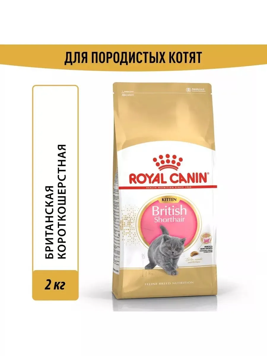 Сухой корм для котят...