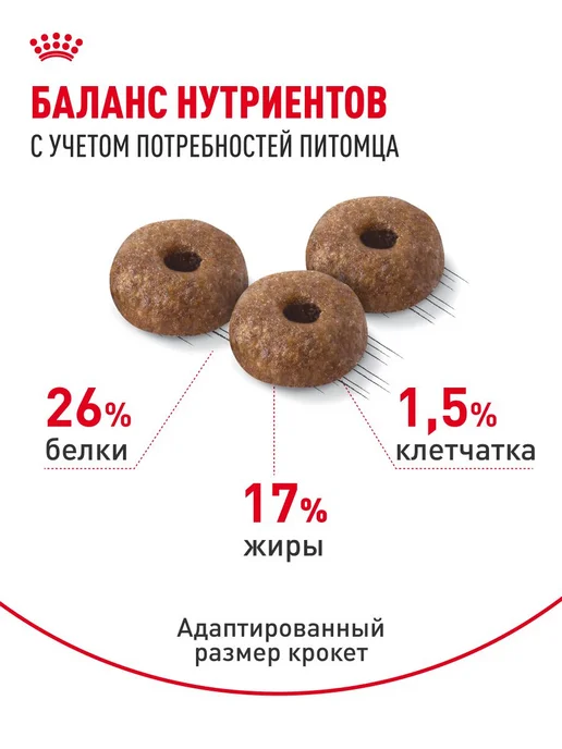 Сухой корм Royal canin Dermacomfort Малых для собак, мелкие, 1 кг, фото 4