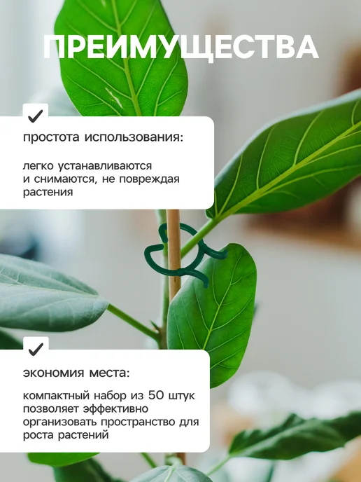 Greengo Клипсы для подвязки растений, зеленый, фото 2