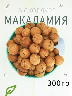 Макадамия в скорлупе 300гр Здоровый Перекус 68778113 купить за 253 ₽ в интернет-магазине Wildberries