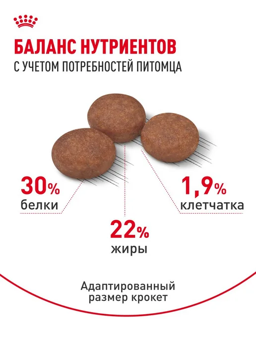 Сухой корм Royal canin Digestive Малых для собак, мелкие, 1 кг, фото 4
