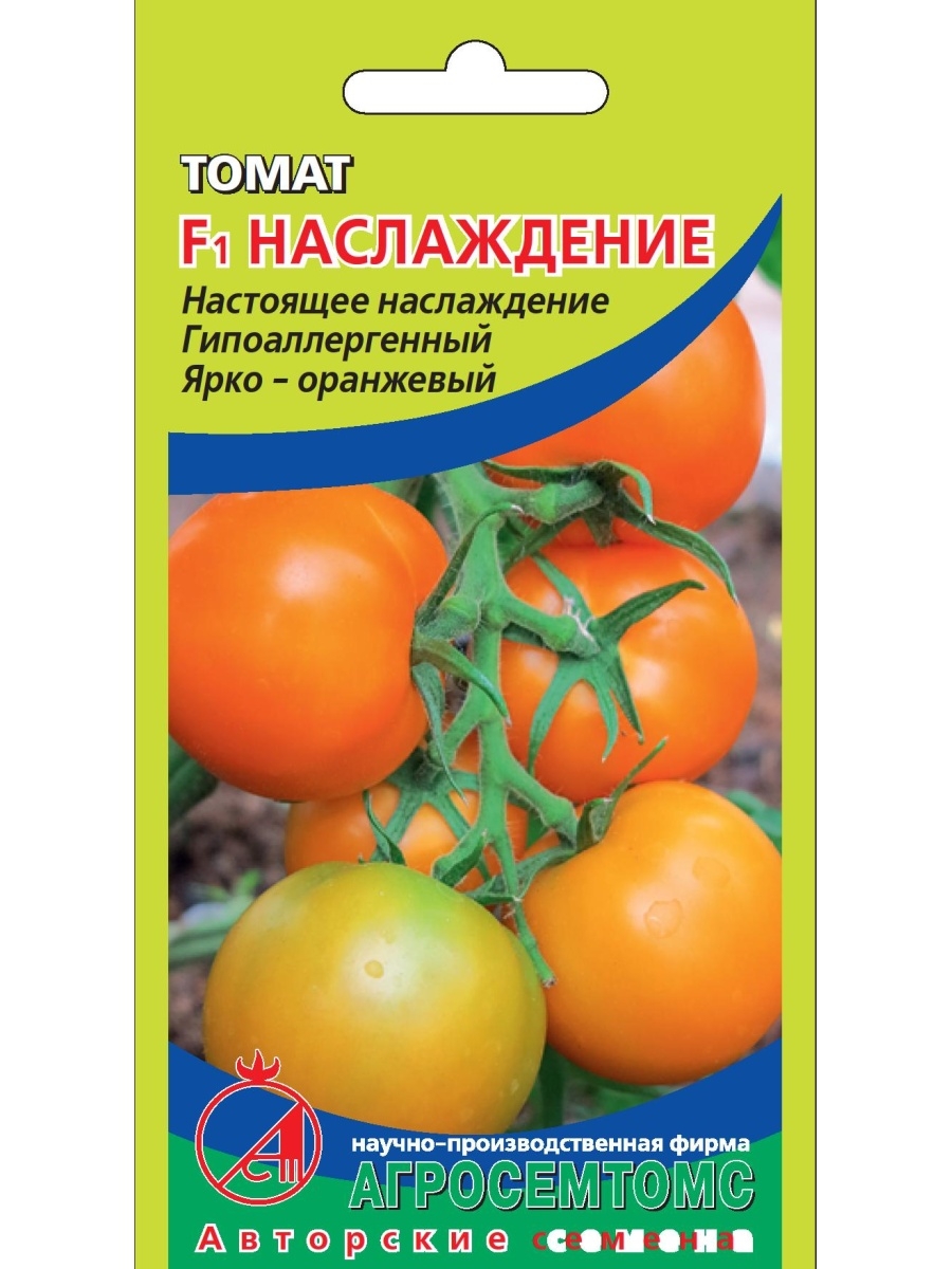 Наслаждение f1. Томат f1 Хлыновский. Томат наслаждение. Томат затейник Агросемтомс. Томат f1 затейник.