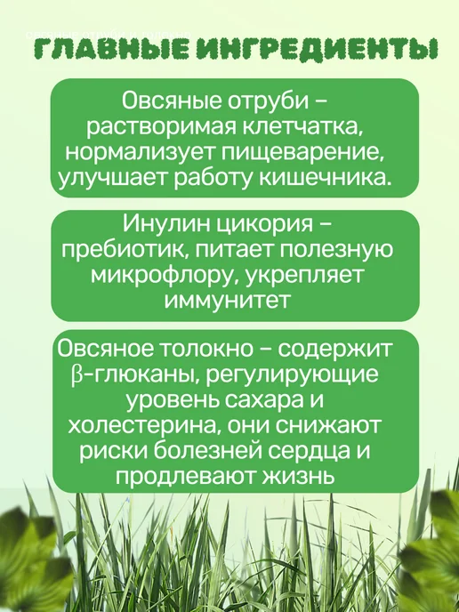Формула Легкости Комплекс пребиотиков с миксом семян, протеином и матча-чаем, вариант, фото 4