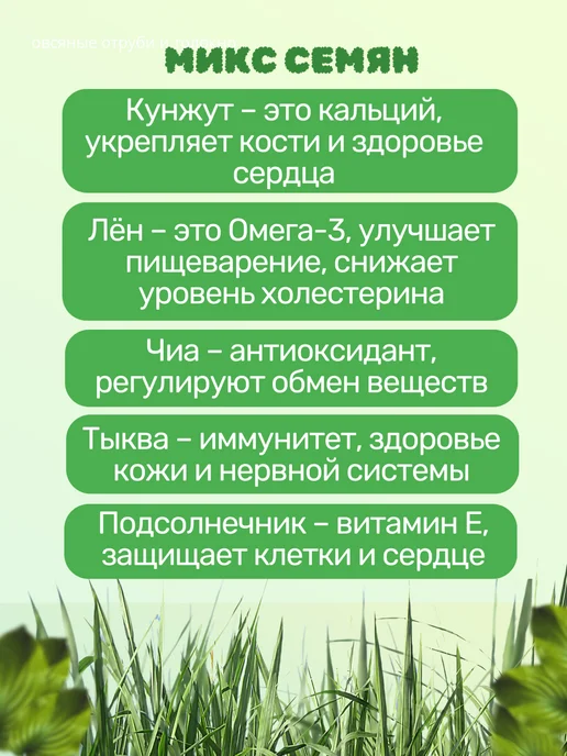 Формула Легкости Комплекс пребиотиков с миксом семян, протеином и матча-чаем, вариант, фото 5