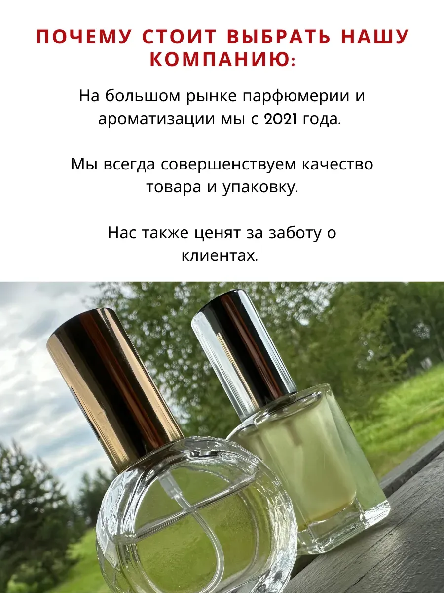 Delina духи стойкие Splashbox 69099635 купить за 411 ₽ в интернет-магазине  Wildberries