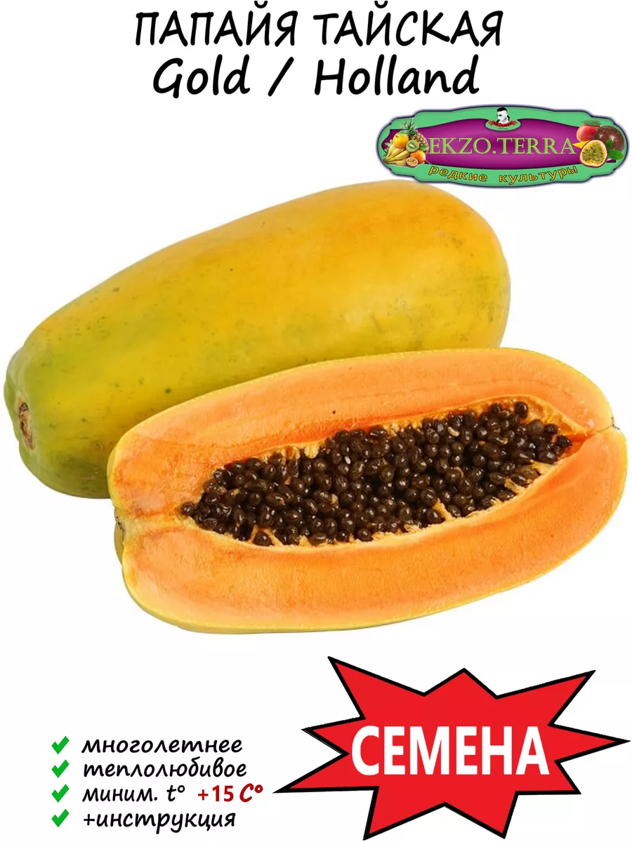 Papaya Порно | gd-alexandr.ru