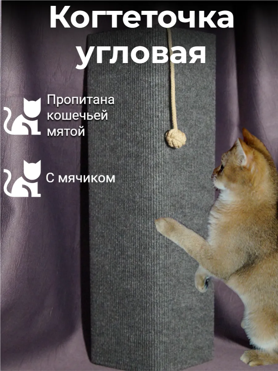 Когтеточка угловая...