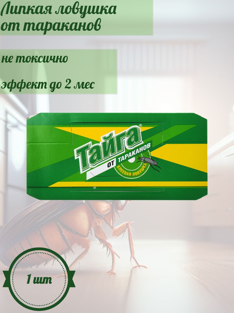 Клеевая ловушка от тараканов ТАЙГА 69209332 купить за 67 ₽ в  интернет-магазине Wildberries