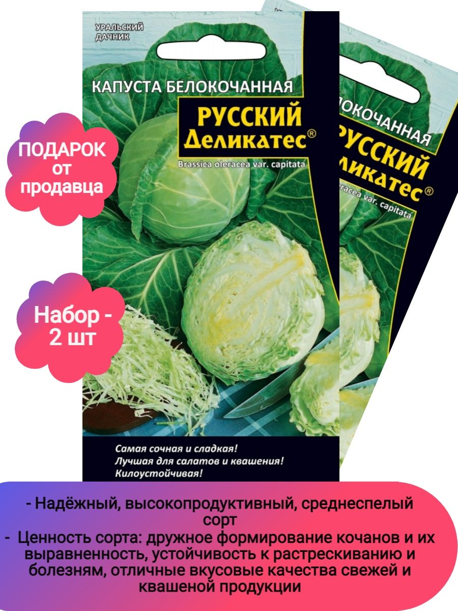 Капуста урал. Семена 74 Уральский Дачник интернет магазин. Уральский Дачник каталог. Семена 74 Уральский Дачник интернет магазин каталог. Дачник Омск каталог.