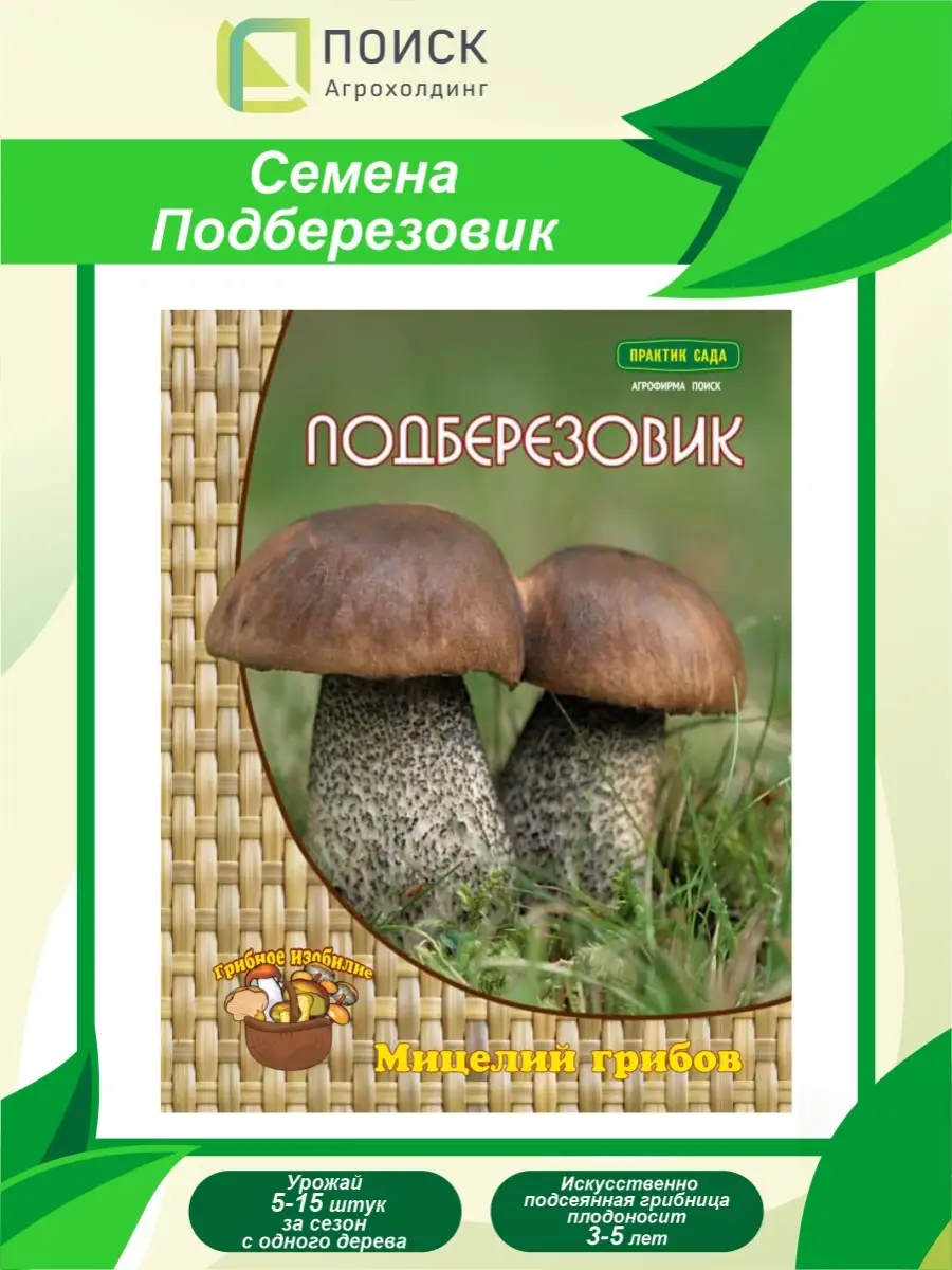 Как приготовить подберезовики - 29 рецептов грибных блюд с пошаговыми фото